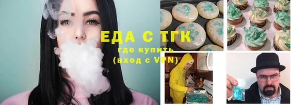 индика Арсеньев
