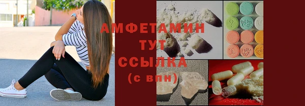 индика Арсеньев