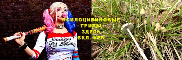 индика Арсеньев