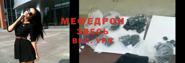 индика Арсеньев