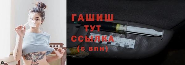 индика Арсеньев