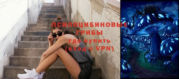 индика Арсеньев