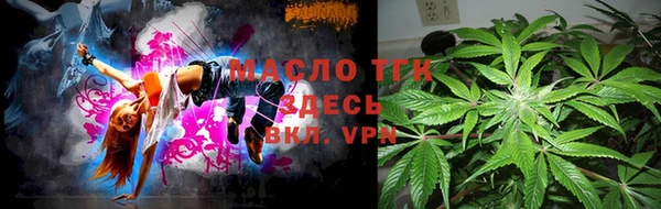 индика Арсеньев