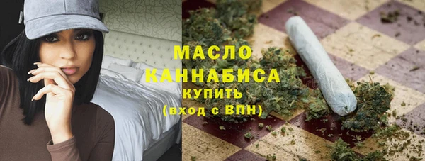 индика Арсеньев