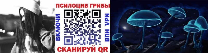 цена   Большой Камень  Галлюциногенные грибы Psilocybe 